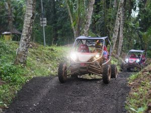 pertiwi adventure utvBuggy ride